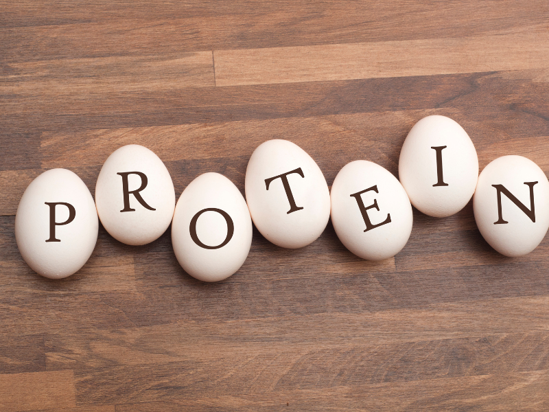 The Importance of Sufficient Protein Intake for the Elderly
