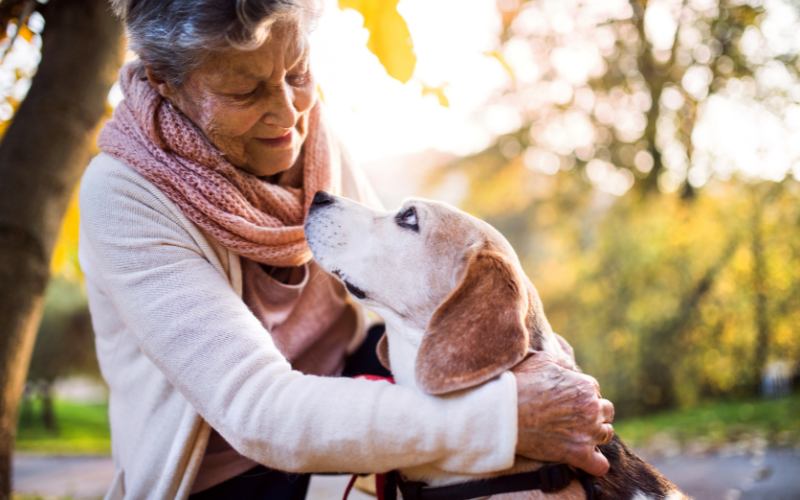 Assisting Hands Banner Home Care